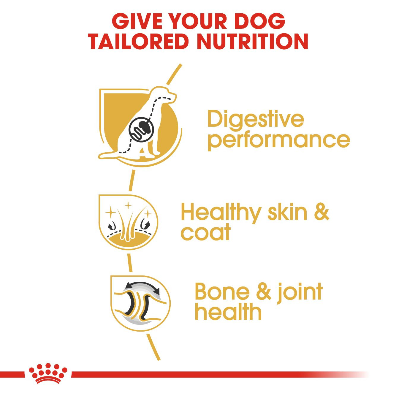 Royal Canin German Shepherd Adult 3 kg