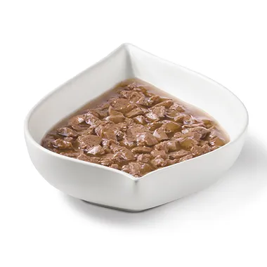 Fancy Feast Gravy Lovers Salmon in Seared Salmon Flavor Gravy Wet Cat Food