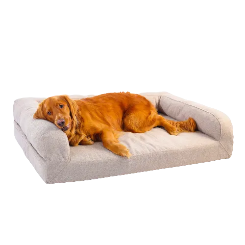 Ariika Biggie Pet Bed Beige - Medium