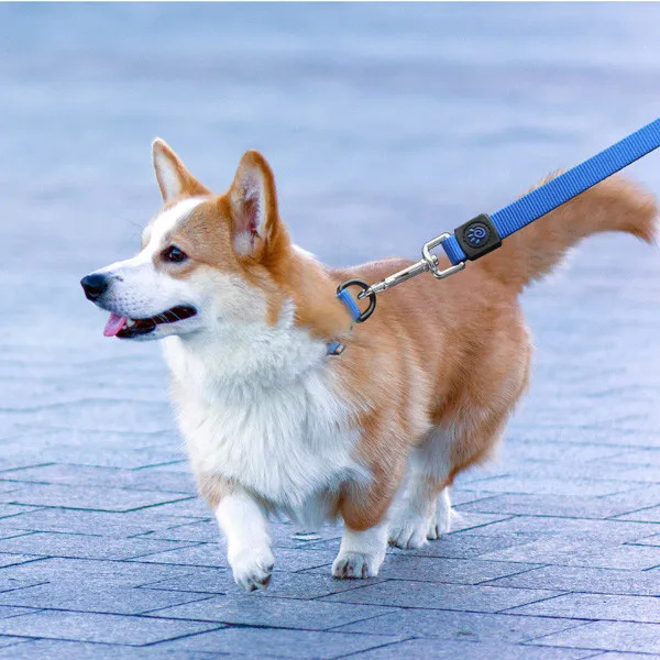 DOCO SIGNATURE NYLON LEASH - DCSN1060