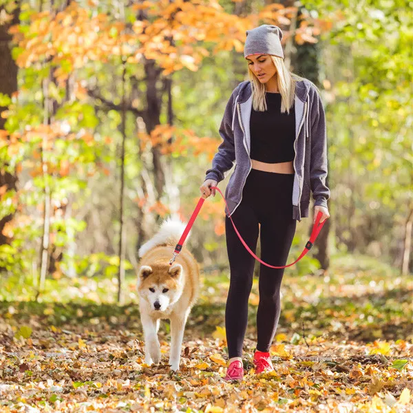 DOCO SIGNATURE NYLON LEASH - DCSN1060