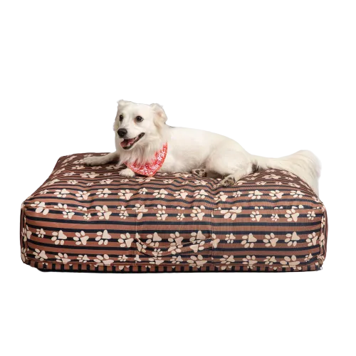 ariika Billy Pet Bed - Paws