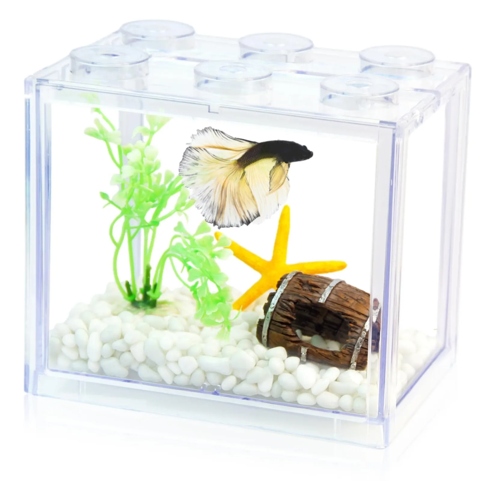 Portable Turtle/Fish Tank - Orange