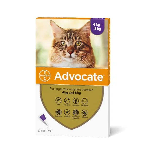 Advocate For Large Cats over 4 kg ( 1 Dose )