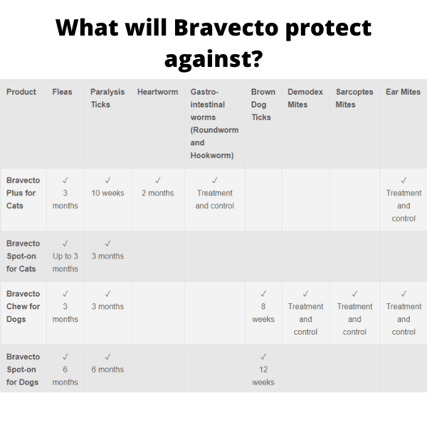 Bravecto Dog 500mg | 10kg to 20kg